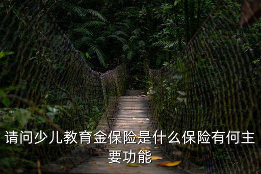 請(qǐng)問少兒教育金保險(xiǎn)是什么保險(xiǎn)有何主要功能