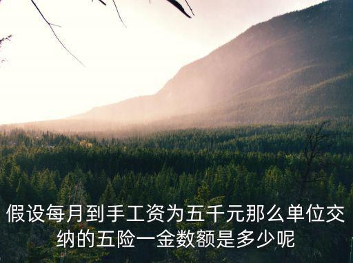 上海五險一金怎么計算，上海工作上個月工作十天工資6500五險一金請問一個月交多少