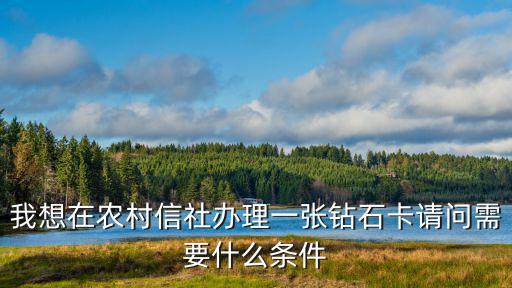 我想在農(nóng)村信社辦理一張鉆石卡請問需要什么條件