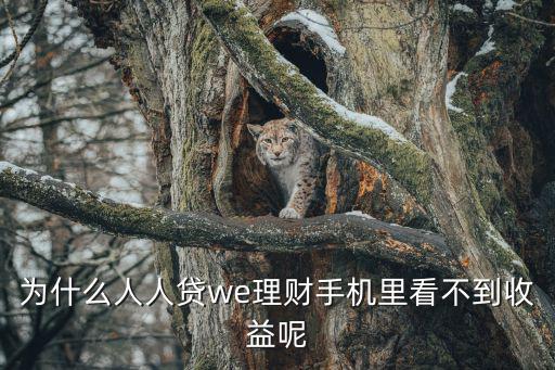 人人貸收益怎么看，人人貸p2p怎么去看不到收益多少
