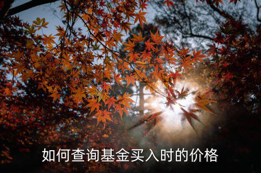 如何查詢基金買入時(shí)的價(jià)格