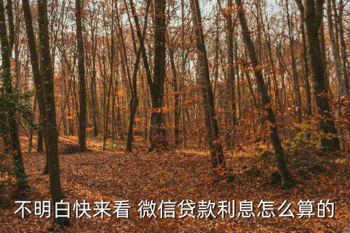 微信貸款怎么記利息嗎，微粒貸利息怎么算如果我貸50000每天給多少利息