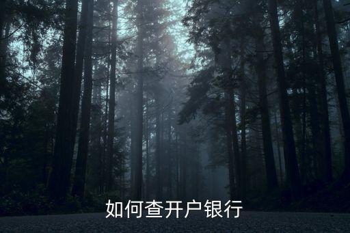 怎么查詢開戶行信息查詢，怎么查開戶行