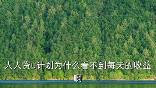 人人貸u計劃為什么看不到每天的收益啊