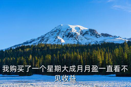 我購(gòu)買了一個(gè)星期大成月月盈一直看不見收益