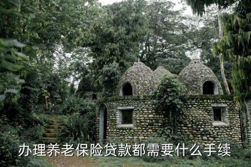 辦理養(yǎng)老保險(xiǎn)貸款都需要什么手續(xù)