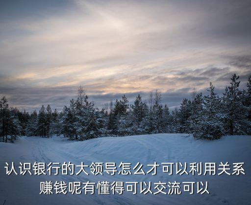 認(rèn)識(shí)銀行的大領(lǐng)導(dǎo)怎么才可以利用關(guān)系賺錢呢有懂得可以交流可以