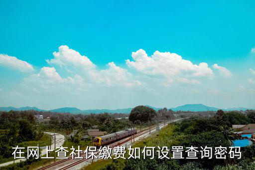 在網(wǎng)上查社保繳費(fèi)如何設(shè)置查詢密碼