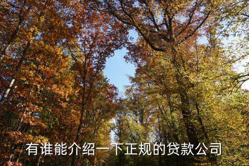有誰能介紹一下正規(guī)的貸款公司