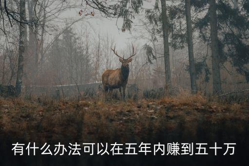 有什么辦法可以在五年內(nèi)賺到五十萬