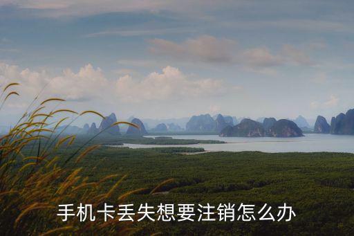 手機(jī)卡丟失想要注銷怎么辦