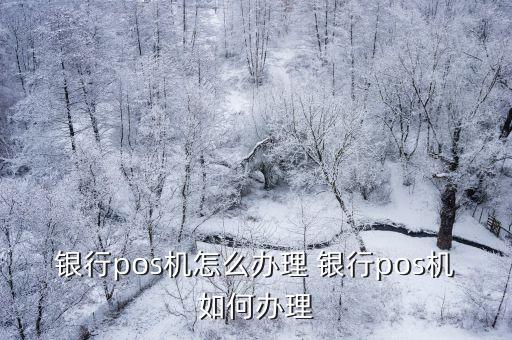 銀行pos機(jī)怎么辦理 銀行pos機(jī)如何辦理