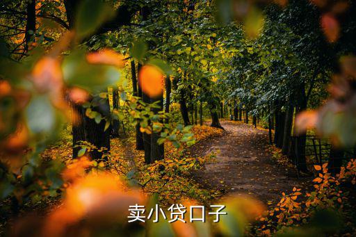 賣小貸口子