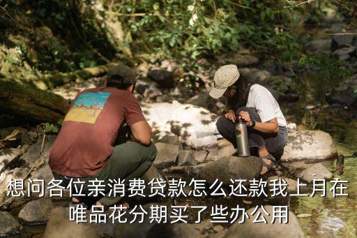 想問各位親消費(fèi)貸款怎么還款我上月在唯品花分期買了些辦公用