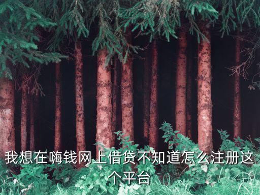 嗨錢網(wǎng)怎么注冊(cè)，下載嗨錢網(wǎng)蘋果版怎么下
