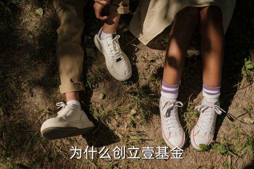壹基金到底怎么回事，壹基金怎么弄的