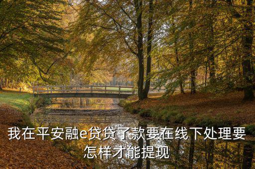 我在平安融e貸貸了款要在線下處理要怎樣才能提現(xiàn)