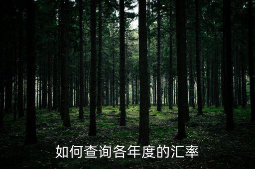 如何查詢各年度的匯率