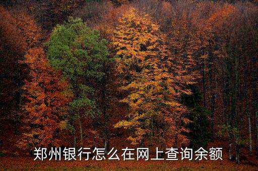 鄭州銀行怎么在網(wǎng)上查詢余額