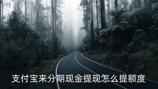 來分期提額怎么提高，支付寶來分期現(xiàn)金提現(xiàn)怎么提額度