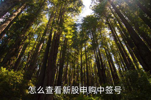 怎么查到申購(gòu)新股中簽，怎么查看新股申購(gòu)中簽號(hào)
