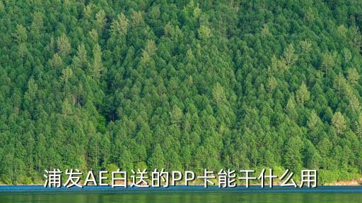 浦發(fā)AE白送的PP卡能干什么用
