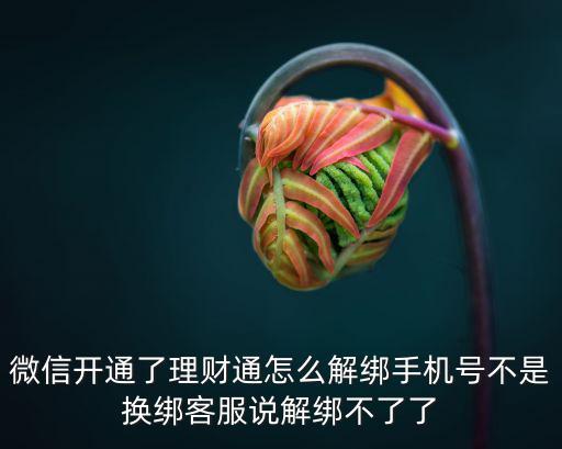 微信開通了理財通怎么解綁手機號不是換綁客服說解綁不了了