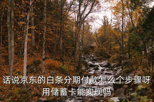 京東怎么白條分期付款嗎，話說京東的白條分期付款怎么個(gè)步驟呀用儲(chǔ)蓄卡能實(shí)現(xiàn)嗎