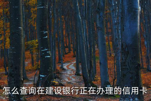 怎么查建設(shè)信用卡制卡，建設(shè)銀行信用卡申卡進(jìn)度如何查詢 在網(wǎng)上