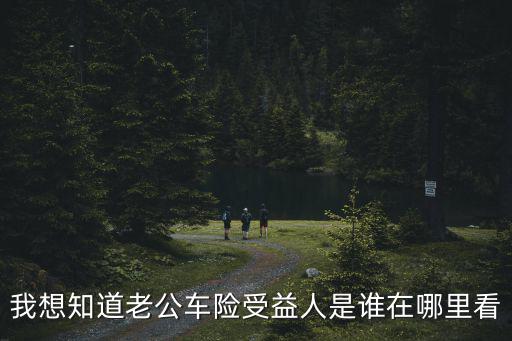 我想知道老公車險(xiǎn)受益人是誰在哪里看