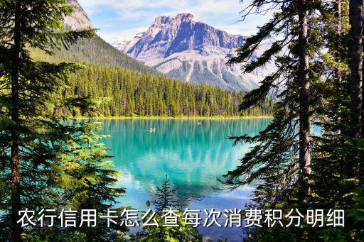 農(nóng)行信用卡怎么查每次消費積分明細