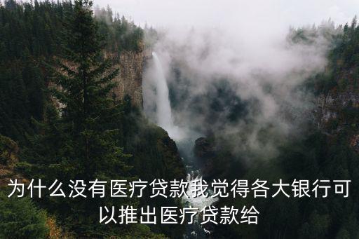 為什么沒有醫(yī)療貸款我覺得各大銀行可以推出醫(yī)療貸款給