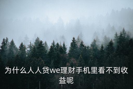 為什么人人貸we理財(cái)手機(jī)里看不到收益呢