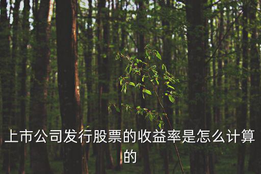 上市公司發(fā)行股票的收益率是怎么計算的
