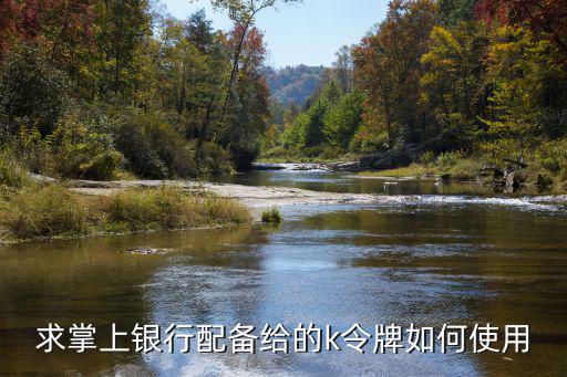 掌上銀行動(dòng)態(tài)k令怎么用，求掌上銀行配備給的k令牌如何使用