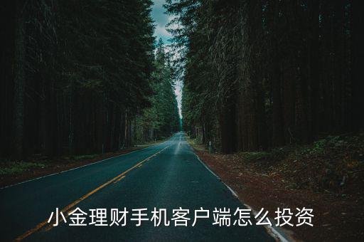 小金理財(cái)手機(jī)客戶端怎么投資