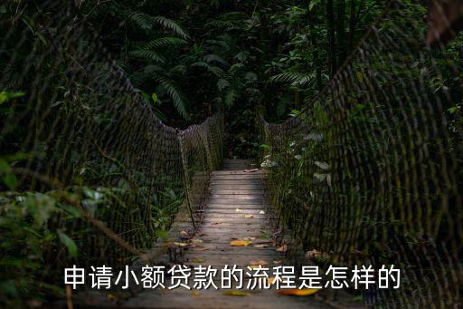 小額抵押貸款怎么做，小額貸款怎么做