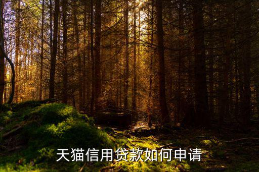 天貓子賬戶怎么貸款，淘寶賬號(hào)怎么貸款