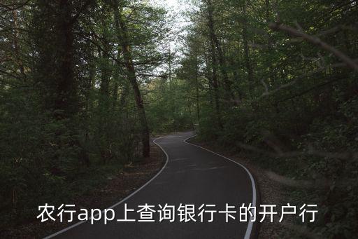 農(nóng)行app上查詢(xún)銀行卡的開(kāi)戶(hù)行