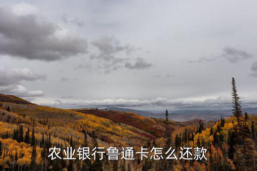 農業(yè)銀行魯通卡怎么還款
