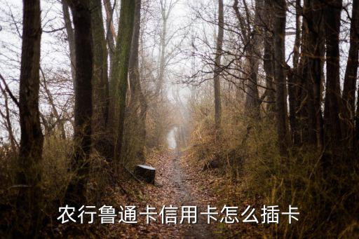 農(nóng)行魯通卡信用卡怎么插卡