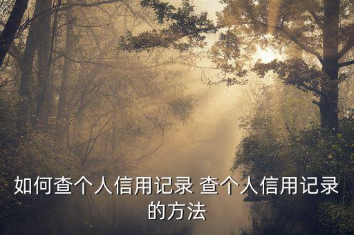 如何查個(gè)人信用記錄 查個(gè)人信用記錄的方法