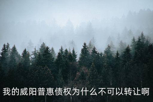 普惠家怎么轉(zhuǎn)讓，平安普惠怎么轉(zhuǎn)讓債權