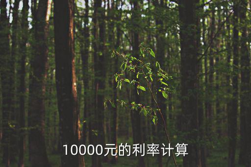 10000元的利率計(jì)算