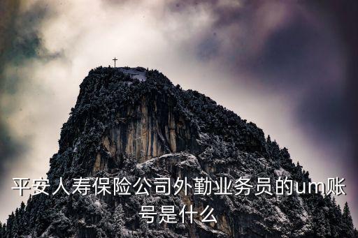 平安人壽保險公司外勤業(yè)務(wù)員的um賬號是什么