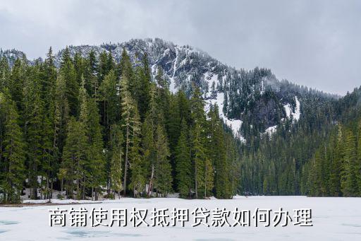 商鋪使用權(quán)抵押貸款如何辦理