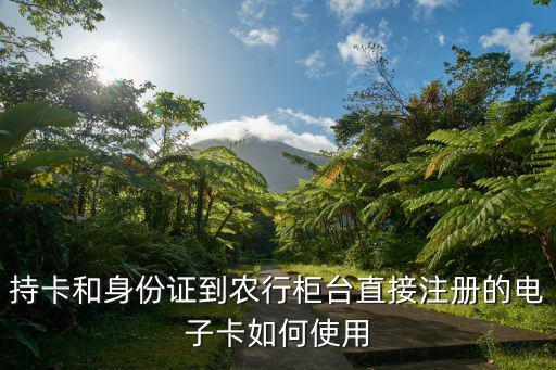 持卡和身份證到農(nóng)行柜臺直接注冊的電子卡如何使用