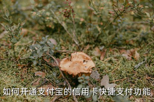 信用卡銀聯(lián)快捷支付怎么開通，如何開通支付寶的信用卡快捷支付功能