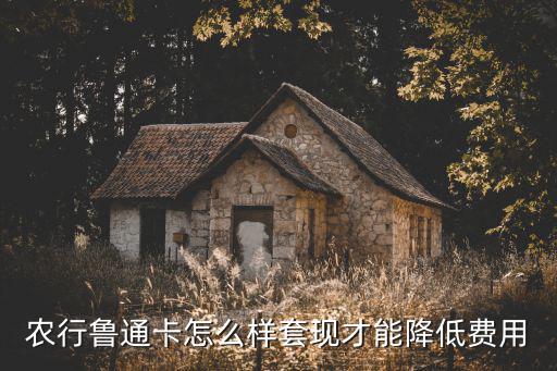 農(nóng)行魯通卡怎么樣套現(xiàn)才能降低費用