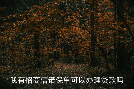 我有招商信諾保單可以辦理貸款嗎